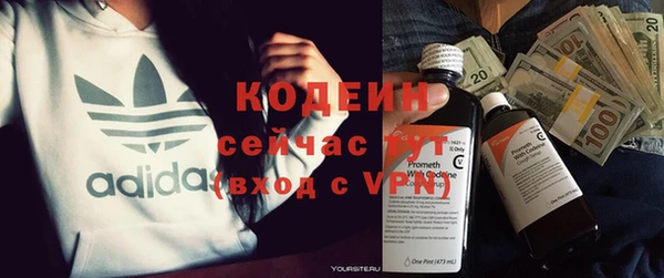 гашик Козельск