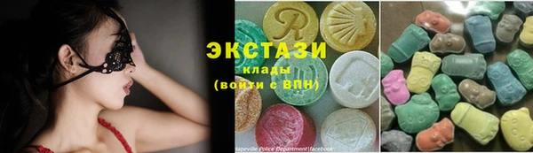гашик Козельск