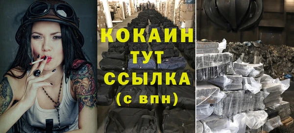 гашик Козельск