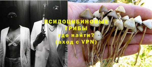 мет Калининец