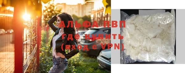 гашик Козельск