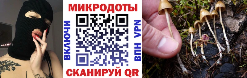 Псилоцибиновые грибы GOLDEN TEACHER что такое Сурск